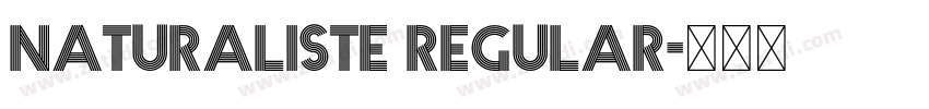 Naturaliste Regular字体转换 Naturaliste Regular字体转换